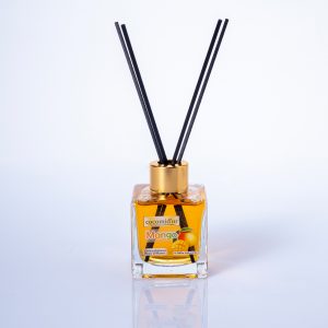 Mango Ortam Kokusu (Hollypop)