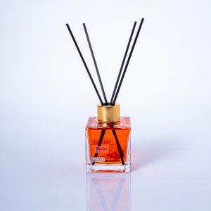 Pudra Ortam Kokusu (Hollypop)